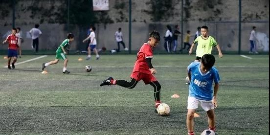  中国足球青训成果初现端倪