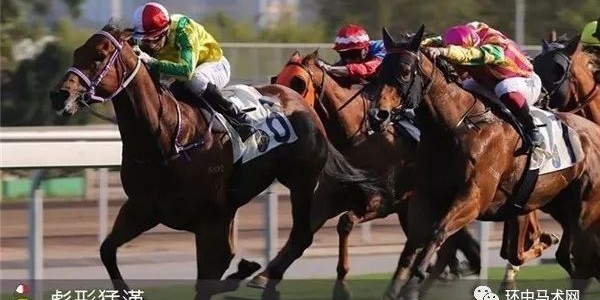  中超新星闪耀赛场，未来之星备受瞩目  